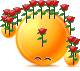 片片梨花香染地
