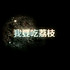 你镐完美