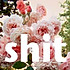 桃花眼*