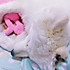 甜甜小野猫