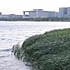 吗都行