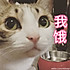 生姜生姜生姜