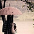 雨中荷6
