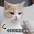 倔犟背后的…