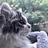 海蛎王