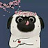 向前走向前看