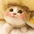 招财猫