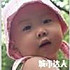 椰子树1