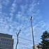 然并卵卵卵卵