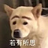 兔子爬啊爬